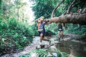 BIB: 
                            <button type="button" onclick="openModal(25433119)" class="btn btn-primary btn-sm float-right btn-popup" data-toggle="modal" data-target=".modal-high-quality">
                        <i class="fas fa-shopping-cart"></i> Add to Cart
                    </button>
                                            <button type="button" onclick="isThisMe(25433119, true)" class="btn btn-success btn-sm float-right btn-popup btn-isme hidden" data-toggle="tooltip" data-placement="bottom" title="นี่คือรูปของคุณใช่ไหม คลิกที่นี่เพื่อเอาเข้าอัลบั้ม">
                        <i class="fas fa-plus"></i> Add to album
                    </button>
                    <button type="button" onclick="isThisMe(25433119, false)" class="btn btn-warning btn-sm float-right btn-popup btn-isnotme hidden">
                        <i class="fas fa-ban"></i> Remove from album
                    </button>